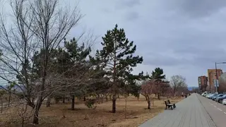 До +15 потеплеет в Красноярске в воскресенье, 5 апреля