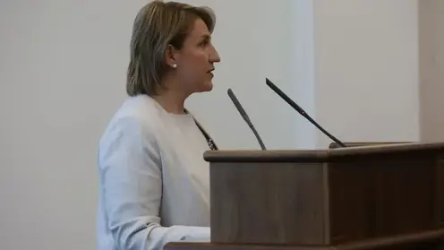 Бизнес-омбудсмен отчиталась перед депутатами: число предпринимателей в Красноярском крае остаётся стабильным