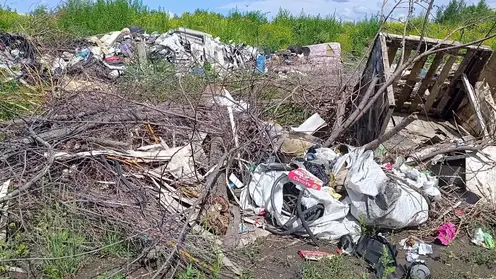 «Свалки — вина предпринимателей»: в Красноярске вновь ищут выход из мусорного тупика