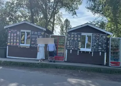 Подросток подозревается в ограблении ларьков на острове Татышев в Красноярске