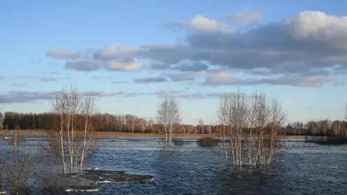 Вторая волна паводка начнется в Алтайском крае в конце мая – начале июня