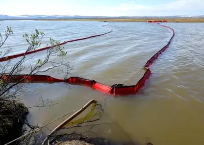 В Минпророды рассказали, сколько водоемов страны планируется расчистить в 2026 году