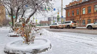 Тепло возвращается. Какую погоду ждать красноярцам в последнюю неделю ноября