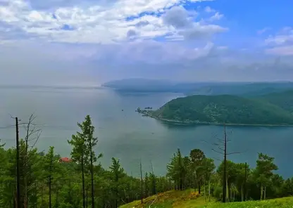 Байкальскую тропу закрыли для туристов из-за медведей