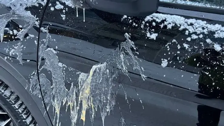 Яичный скандал в Новосибирске: пенсионерка чуть не сделала «омлет» из иномарки