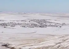 В Забайкалье введен режим ЧС из-за вспышки пастереллёза у скота