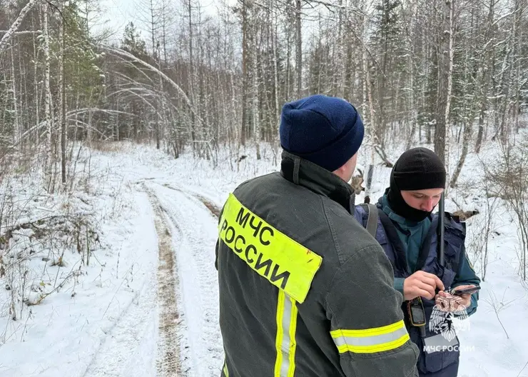 Во время поисков пропавшей семьи в Красноярском крае специалисты обошли 4830 км лесных дорог