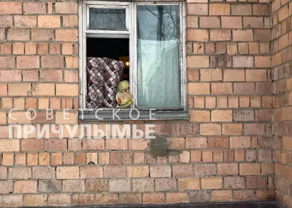 В Красноярском крае косуля выбила окно и забралась в квартиру пенсионера