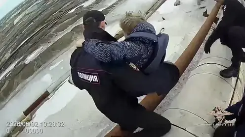 Рваные раны и ссадины: подростки из Норильска рассказали о стычке с бездомными собаками