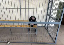 Число жертв «ангарского маньяка» достигло 91