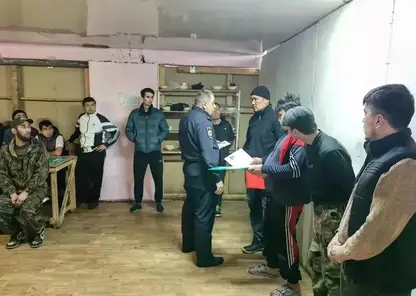Шестерых мигрантов выдворят из России после рейда на красноярской лесопилке