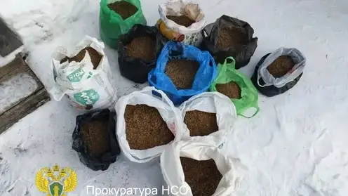 Собрал 9 кг конопли возле дома: 56‑летнего жителя Новосибирской области ждёт суд