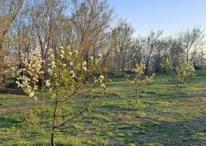 Опубликована афиша путешествий по Красноярску и окрестностям на май