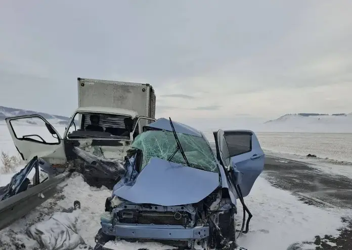 Водитель не справился с управлением на трассе в Красноярском крае: двое погибли