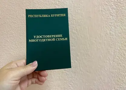 Многодетные семьи в Бурятии получат льготы по удостоверению