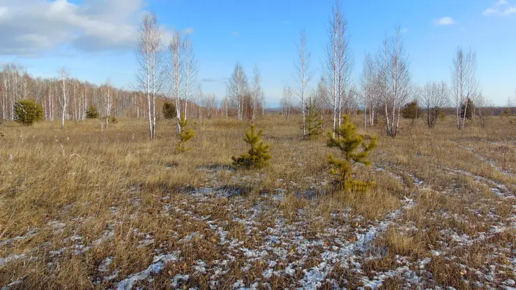В Красноярском крае изымают 15 гектаров сельхозземель у села Большое Озеро