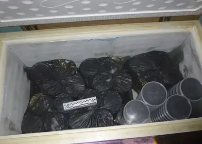 Больше 300 контейнеров черной икры «нашел» мужчина в Хабаровском крае: возбуждено уголовное дело