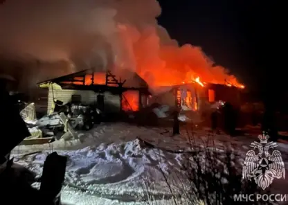 В поселке Алтайского края пожар уничтожил жилой дом