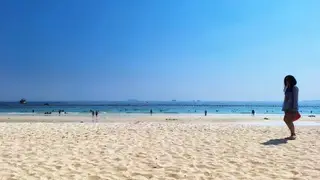 Из Красноярска запускают прямые рейсы на курорт Вьетнама — Дананг