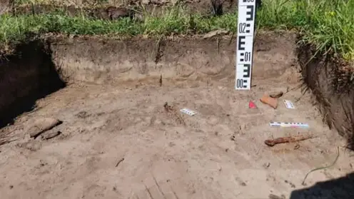 От глиняных сосудов до костей животных: в Татышев-парке нашли артефакты возрастом до 3 тысяч лет