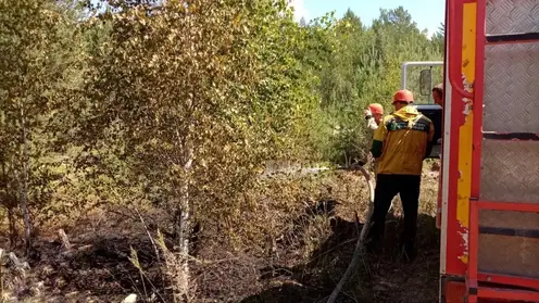 Небрежность курильщика привела к лесному пожару в Богучанском округе Красноярского края