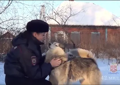 В Кемеровской области инспектор ПДН получила награду за спасение раненого хаски