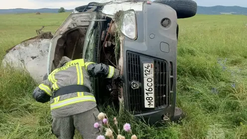 В Красноярском крае за сутки потушили 9 пожаров