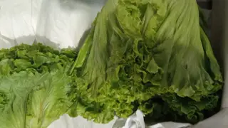 В Красноярском крае предотвратили ввоз 1,3 т зараженных овощей В Красноярском крае предотвратили ввоз 1,3 т зараженных овощей