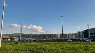 Пятница в Красноярске будет тёплой и солнечной