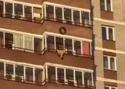 Неизвестный выбросил автомобильные шины с верхнего этажа многоэтажки в Красноярске (видео)