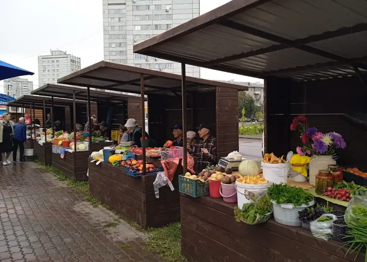 75 мест для уличной торговли работало летом в Красноярске