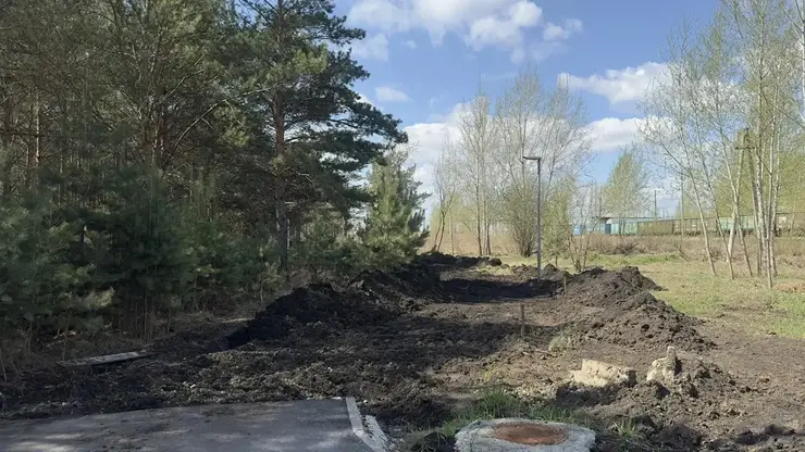 Общественное пространство «Преолес» благоустроят в Красноярске
