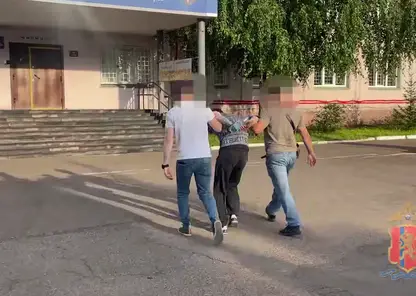 Житель Железногорска задержан за кражу телевизора и хранение наркотиков