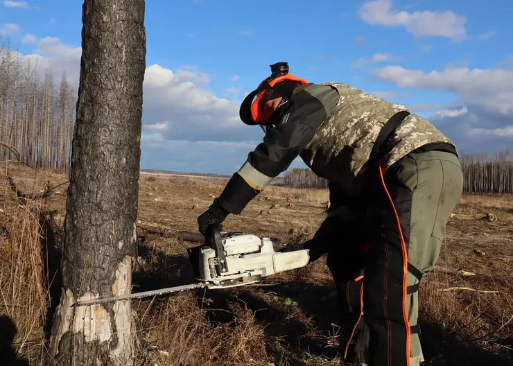 Лесные пожарные Красноярского края осваивают профессию летчика-наблюдателя