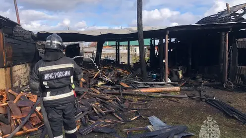 В Красноярском крае за сутки потушено 12 пожаров, травмирован один человек