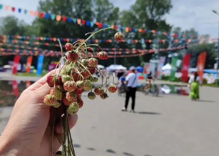 В Красноярском крае первый день фестиваля «МИР Сибири» посетили 12000 зрителей