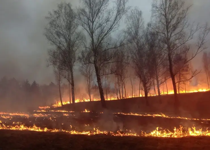 57 гектаров леса сгорело в Красноярском крае за сутки