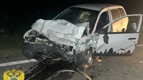 Страшная авария в Новосибирской области унесла жизни двух подростков