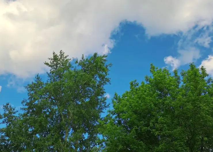 В Красноярске под конец недели перестанут лить дожди