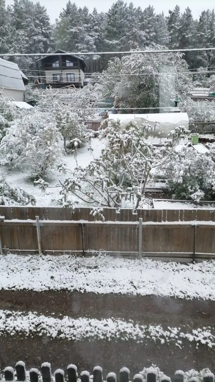 Фото: vk.com/fontanich