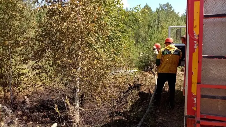 Небрежность курильщика привела к лесному пожару в Богучанском округе Красноярского края