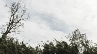 Сильный ветер обещают в Красноярском крае 9 апреля