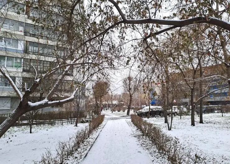 Красноярцам рассказали, как защититься от мороза