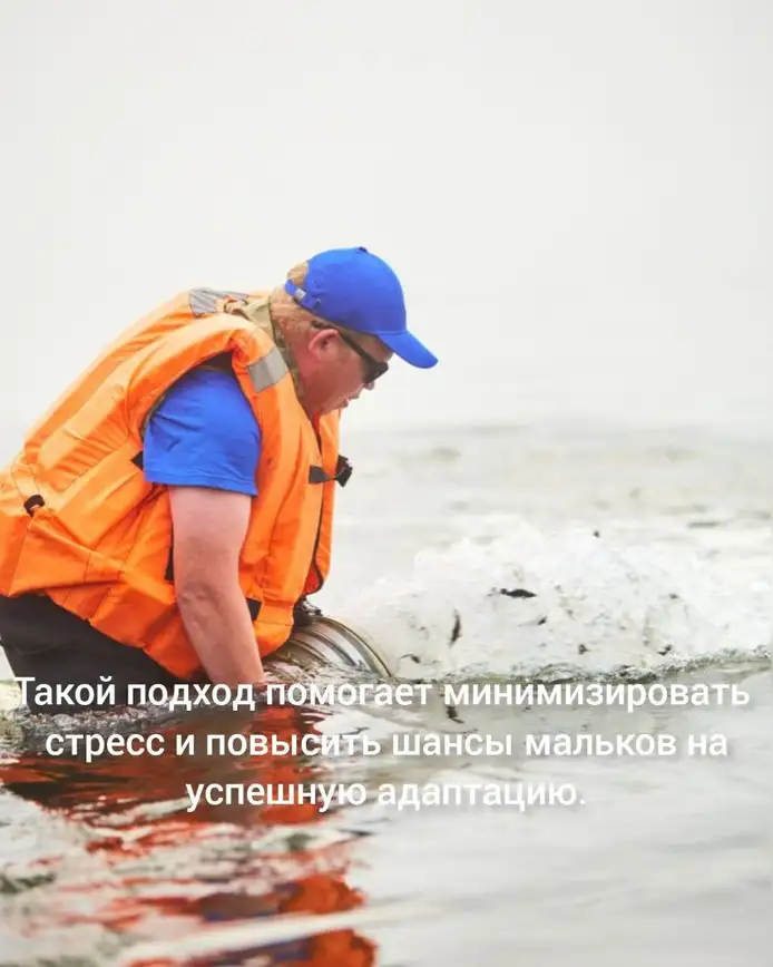 Фото: ГК «СтройИнновация»
