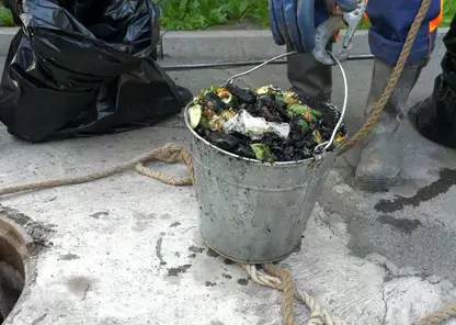 В Красноярске жители засорили трубы кабачками и другим урожаем