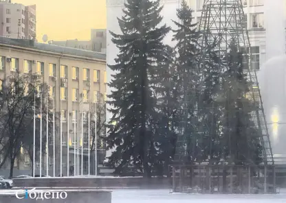 Каркас главной городской ёлки возвели в центре Кемерова
