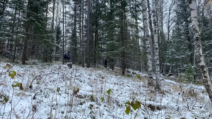Пропавшую в Красноярском крае семью Усольцевых у горы Буратинка видели туристы