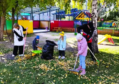 С граблями дети и взрослые. На выходных улицы Красноярска убирали почти 50 тысяч жителей