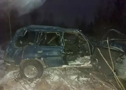 Шесть человек пострадали в ДТП в Красноярском крае