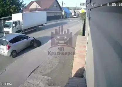 В Красноярске грузовик на полном ходу сбил быка